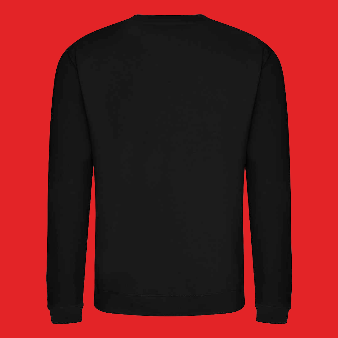 sweatshirt just front print